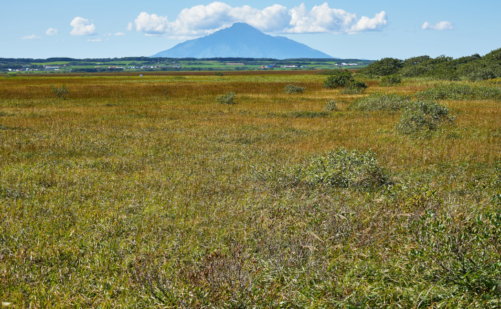 原野商法の歴史