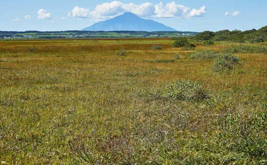 原野商法について