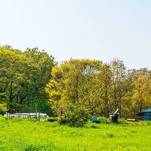 売れない別荘地の処分方法