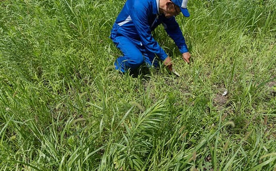 原野商法について