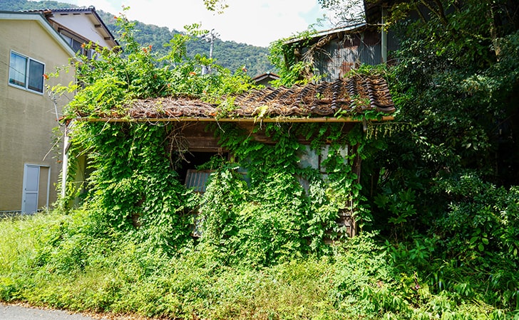 原野商法について