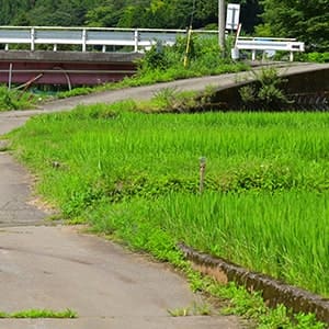 使わない田畑は早めに処分